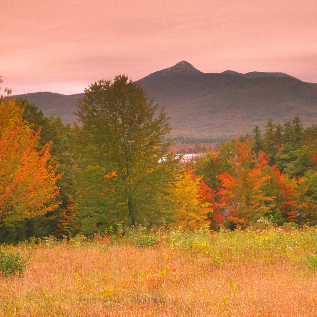 Welcome Autumn: Mindful Practices for the Season Ahead