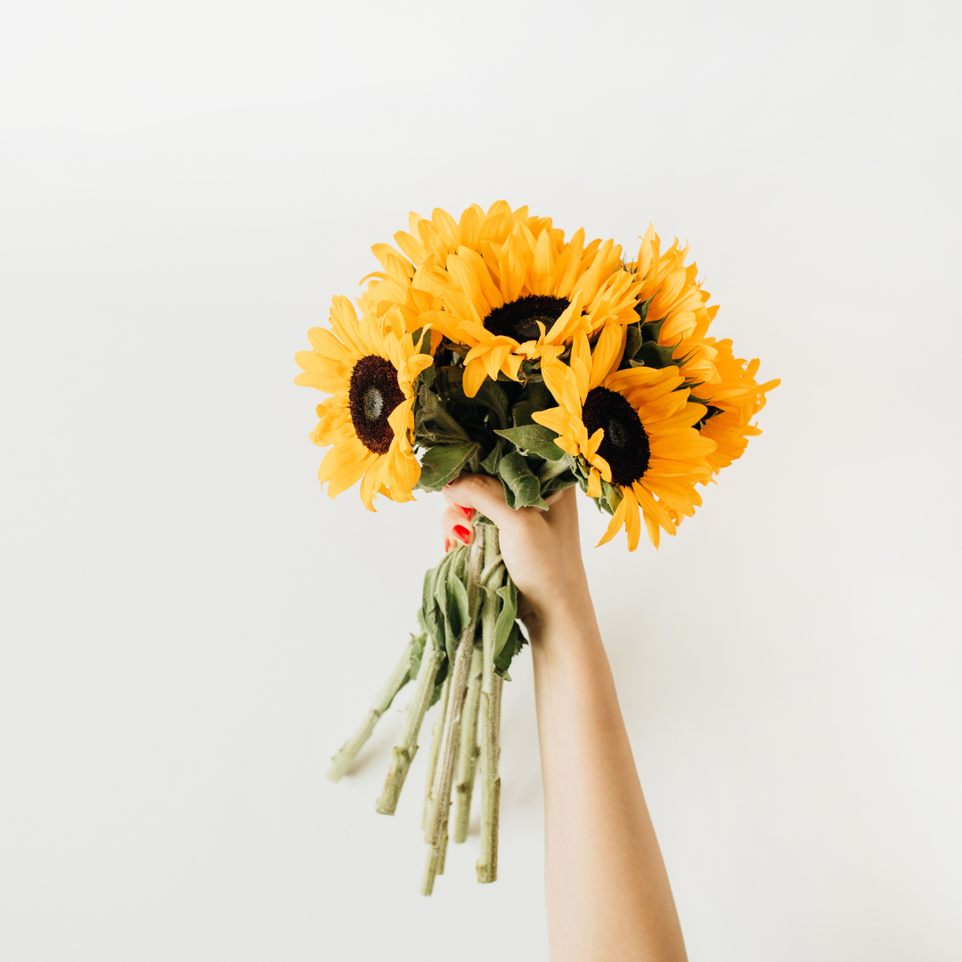 Ingredient Highlight: Sunflower Oil!