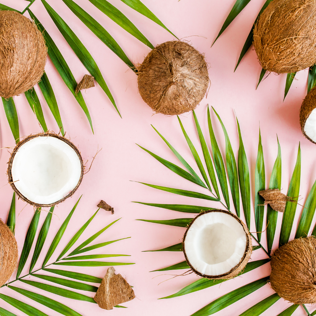 Ingredient Highlight: Coco-Caprylate (Coconut Oil Derivative)