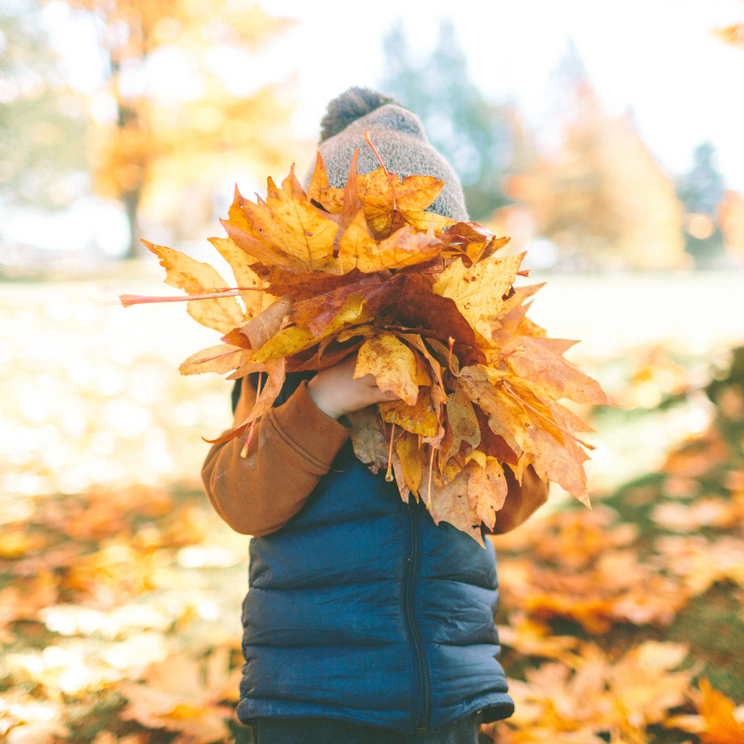 Transitioning Your Skincare Routine for Autumn: Protecting and Nourishing Your Skin